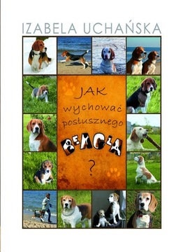 Как вырастить послушного бигля