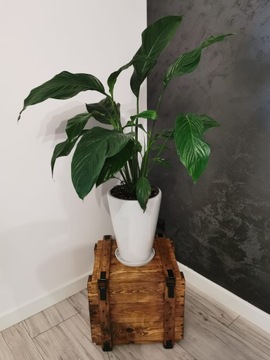 Ящик деревянный, военный, дальнего обжига, 106x33x23 LOFT