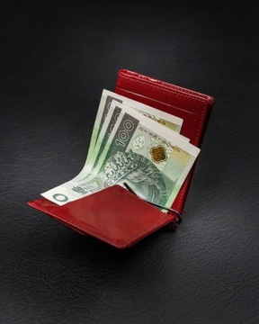 Rovicky stylowy portfel skórzany na banknoty karty RFID STOP