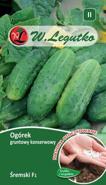 OGÓREK ŚREMSKI jak taśma otoczka 50 szt nasion