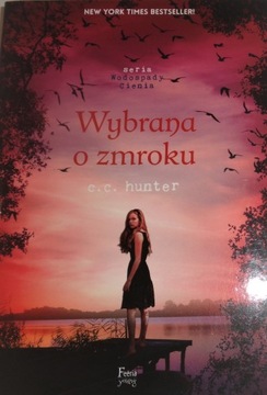 Hunter WYBRANA O ZMROKU