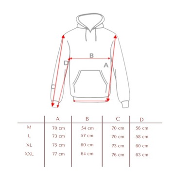 KOMPLET MĘSKI DRESOWY CIEMNOSZARY DRES Z KAPTUREM I ZAPINANY NA ZAMEK L