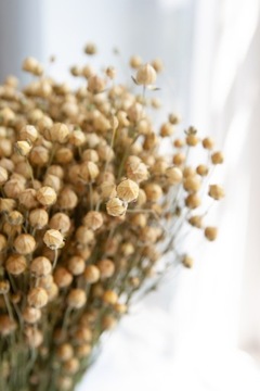 БУКЕТ цветов из НАТУРАЛЬНОГО СУШЕННОГО ЛЬНА