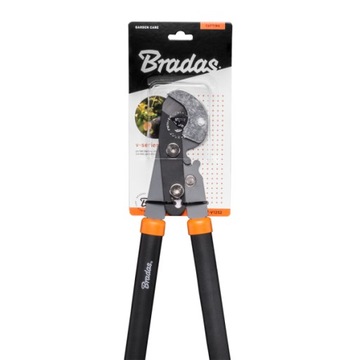 BRADAS BRANCH Precurers с ANIV GEAR