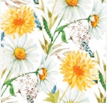 Serwetki Dekoracyjne Daisy 33x33 / 20 szt.wzór 540