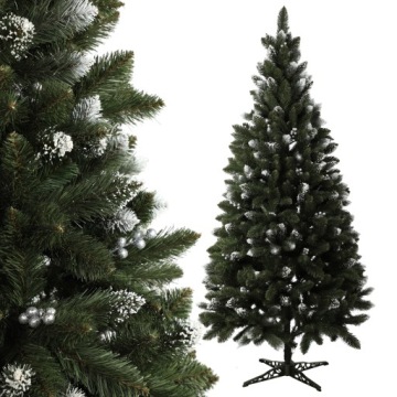 LIVE PREMIUM DIAMOND THICK PINE 180 см