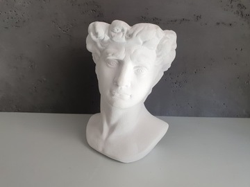 Крышка Цезаря Голова Цветочный Горшок Украшение Чаша ПОДАРОК