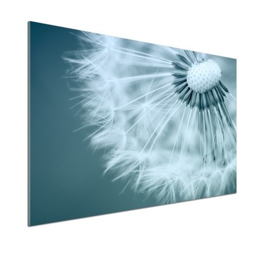 Panel dekor szkło Dmuchawiec 100x70 cm + KLEJ