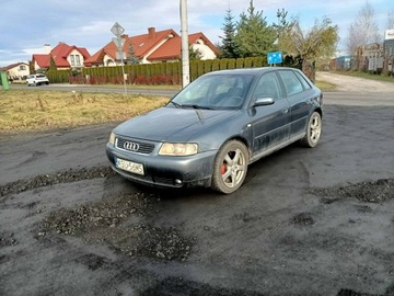 Audi A3 8L Hatchback 1.9 TDI PD 100KM 2001 Audi A3 Sportback 1.9TDI 101km 01r, zdjęcie 1