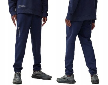 SPODNIE MĘSKIE 4F DRESOWE SPORTOWE JOGGERY DRES r.L