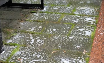 ТЕНЗИ ТопЭфект МОСС 1л