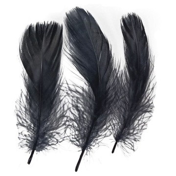 Черные перья серии Titanum Craft-Fun