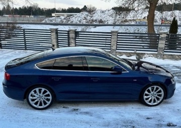 Audi A5 8T Cabrio Facelifting 2.0 TDI 177KM 2015 Audi A5 Sportback 2.0 TDI DPF multitronic, zdjęcie 4