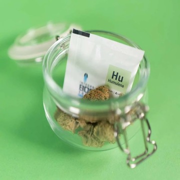 Integra Boost Terpene Essentials Гумулен 4G 62%