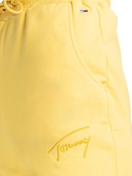 Spodnie dresowe Tommy Hilfiger DW0DW11886-ZGF - L