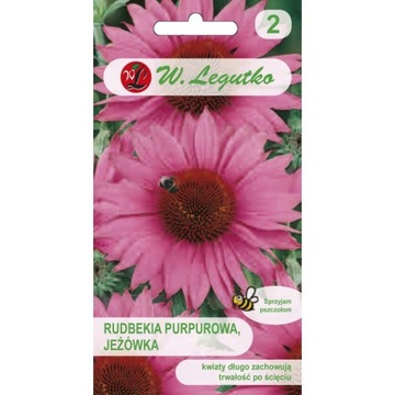 RUDBEKIA JEŻÓWKA PURPUROWA WABIK MOTYLI I PSZCZÓŁ