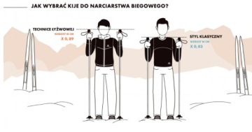 Палки Salomon ESCAPE ALU, 145 см