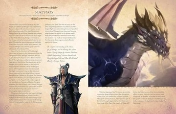 Сандра Рознер World of Warcraft: Кодекс драконьего полета (полное руководство)