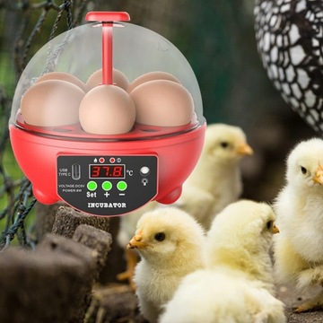 USB 6 Inkubator wylęgowe ze światłem
