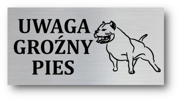 Tabliczka UWAGA GROŹNY PIES 20x10cm