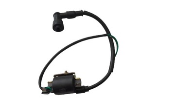 Полный электромонтаж Quad ATV 125 110
