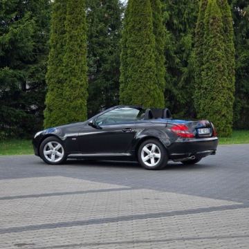 Mercedes SLK R171 Roadster 3.0 V6 (280) 231KM 2008 Mercedes SLK 280 R171 3.0 Benzyna 7G-TRONIC Sport, zdjęcie 18