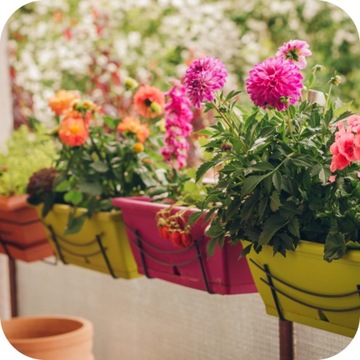 УДОБРЕНИЕ ДЛЯ ПЕЛАРГОНИЙ СУРФИНИ ПЕТУНИЯ 150Г ПЫШНОЕ ЦВЕТЕНИЕ БЫСТРО ДЕЙСТВУЮЩЕЕ