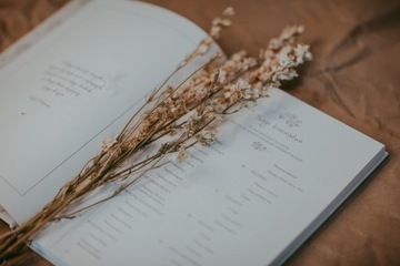 Первый альбом Малыша, хроника, розовый дневник.