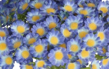 ИСКУССТВЕННЫЕ РЕЗИНОВЫЕ ЦВЕТЫ С РЕЗИНОВЫМ ПОКРЫТИЕМ МАЛЕНЬКИЕ ЦВЕТОЧНЫЕ ТРАНСФЕРНЫЕ РАСТЕНИЯ