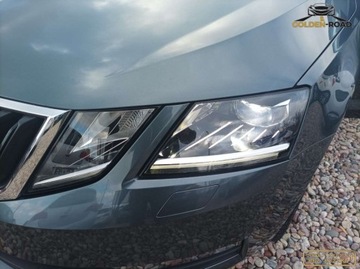Skoda Octavia III Kombi Facelifting 1.6 TDI 115KM 2019 Skoda Octavia 1,6 tdi DSG LED klima navi alu FV 23 oplacona 1.6 Diesel, zdjęcie 7