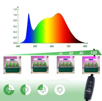НАБОР ДЛЯ ПРОРАЩИВАНИЯ РАСТЕНИЙ С ПРОЗРАЧНЫМИ КРЫШКАМИ, САД, ТЕПЛИЦА