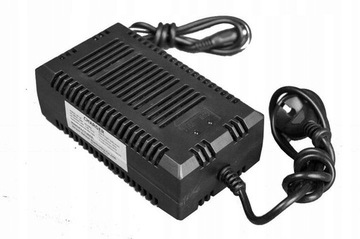 Мини-электрический квадроцикл Hercules 1000 Вт для детей