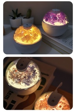 1шт, консервированный свежий цветок, красочный увлажнитель воздуха, USB Air