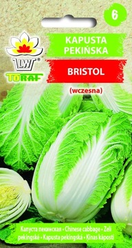 KAPUSTA PEKIŃSKA BRISTOL WCZESNA ODMIANA ODPORNA NASIONA WARZYW 1G