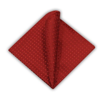 Elegancka poszetka butonierka wypustka do garnituru marynarki Pako Jeans