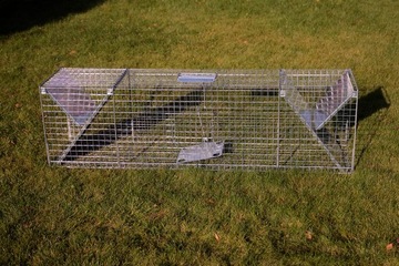 Живая ловушка Оцинкованная клетка ЛОВУШКА ДЛЯ ВЫДРЫ, ЛИСЫ, БОБРА, МУЖЧИН, Прочная, ДВУСТОРОННЯЯ