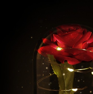 Aurelis Eternal Rose в стекле ПОДАРОЧНЫЙ КРАСНЫЙ светодиод | ПОДАРОК ​​НА ДЕНЬ ВАЛЕНТИНА