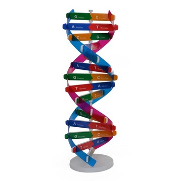 Modele Science Insrumen Podwójny Model