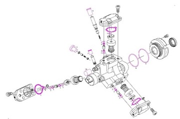 CP1 F01M101454 Ремкомплект ТНВД