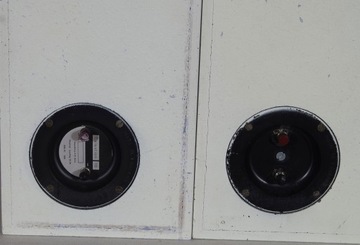 Celestion Ditton 10, очень хорошие мониторные колонки.