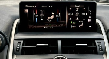 Lexus NX I 2020 Lexus NX 300h,Hybryda,4x4,Europa, zdjęcie 31