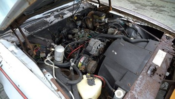 Pontiac Firebird II 1981 Pontiac Firebird / Trans Am 1981 – 3.8 V6, zdjęcie 14