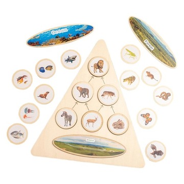 Life Cycle Puzzle Kit Early Learning Toy Education