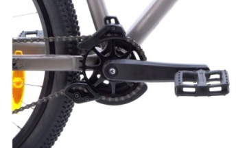 Рама KELLYS DIRT WHIP 10 RAW L