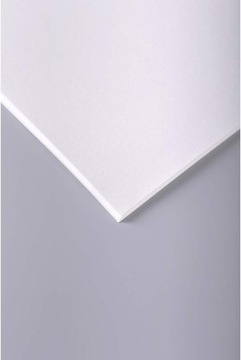 CLAIREFONTAINE PAPIER RYSUNKOWY DO TECHNIK SUCHYCH 224G 10 ARKUSZ 50 X 65CM