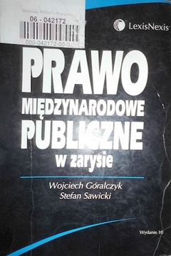 Prawo międzynarodowe publiczne w zarysie - Sawicki