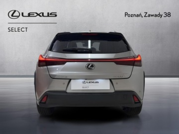 Lexus UX Crossover 200 171KM 2020 Lexus UX 200 Optimum 2WD Lexus UX 200 Optimum, Ben, zdjęcie 6