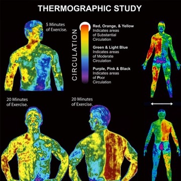 Slimming Cream Fat Burning Muscle Stimulator Cream