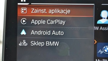 BMW X4 G02 2025 BMW X4 Salon PolskaASOFV23 2.0 Hybryda 190KM, zdjęcie 14