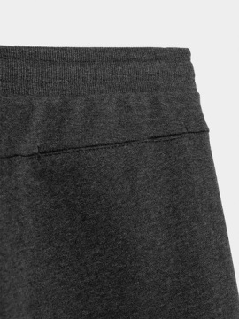 4F Спортивные шорты 4FSS23TSHOM156 Серый Regular Fit